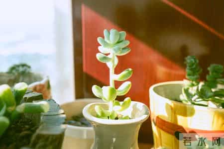 让老师一秒泪崩的句子