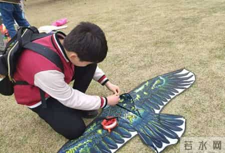 春天的课堂,赏春. 品春. 惜春 ——走进“春天的课堂”