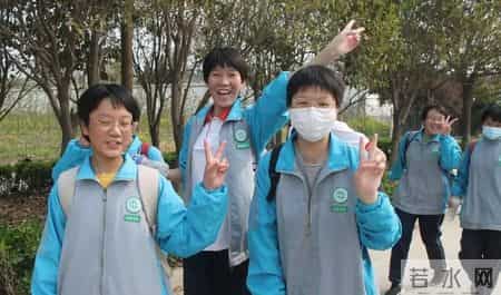 材料作文范文,材料作文范文800字