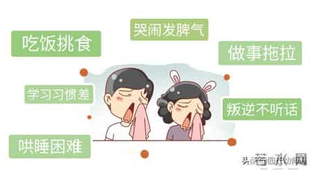 大班上学期教学计划