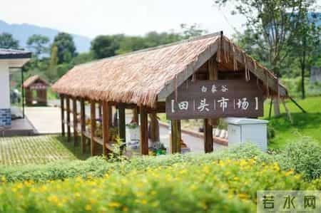 回眸2021｜你有一份市中区农业工作总结待查收~