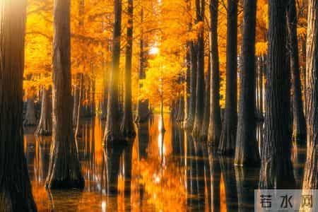 那一刻我难以忘怀