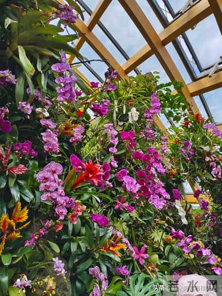 关于五一的英语作文