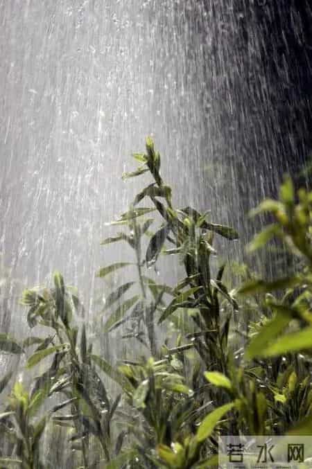 中秋散文,仲秋抒怀(散文)