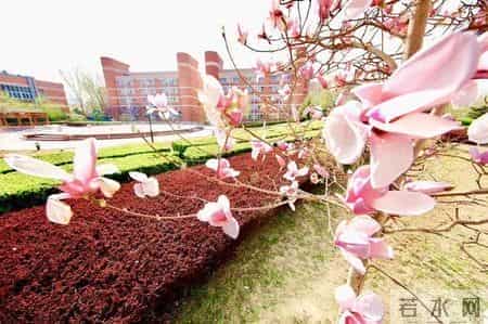 停课不停学，一起来听听这些校长的暖心寄语