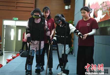 感受生命,感受生命的