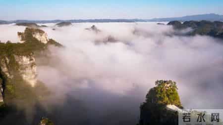 年味作文600字初中