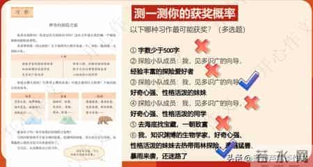 第六届“开心杯”第二期总结-阿宝老师的“作文经”（三三七）