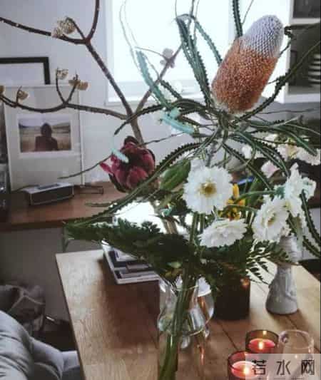 20种花材的插花方法，不会插花看这里