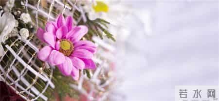 激励人心的优美早安心语，句句阳光正能量，送给迷茫消极的你