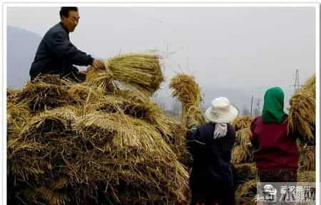 看！这幸福的百元大钞