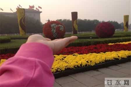 国庆见闻的作文