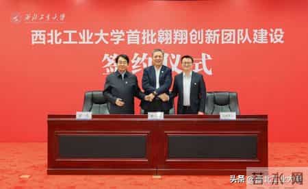 飞翔团队,飞翔团队信鸽