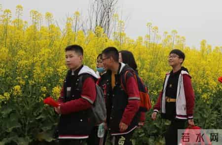 春天的课堂,赏春. 品春. 惜春 ——走进“春天的课堂”