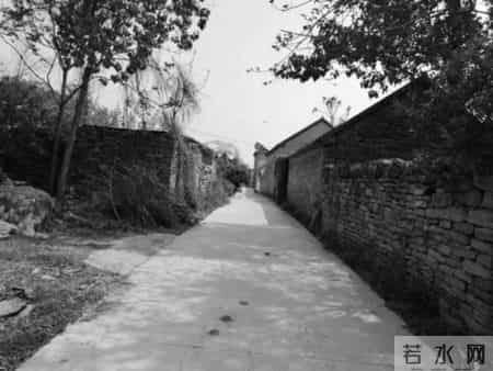 我尝到了成功的滋味