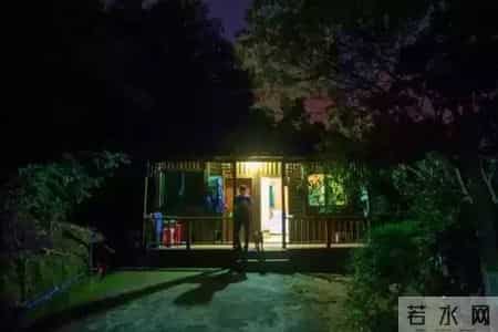 动物园奇遇记,“动物园”奇遇记！今晚的故事不一般