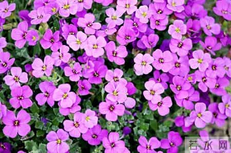 美句美段摘抄大全,美句,美段