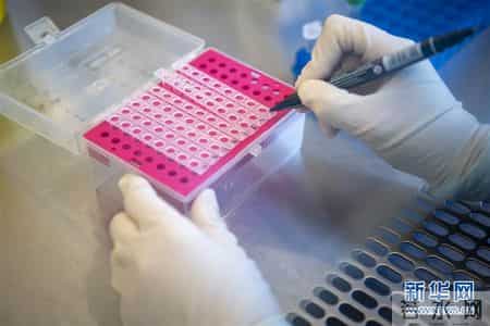 三级网络技术上机题库