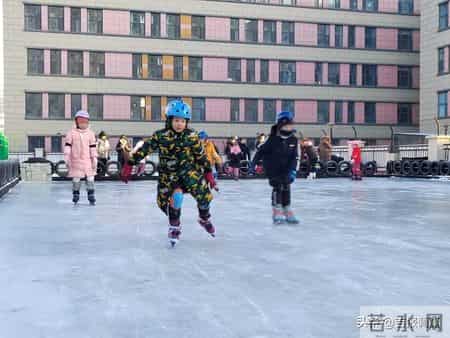 体育教学工作总结