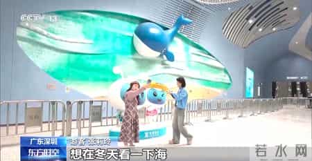 写景,小桥流水、梅花初绽、海天一色 被地铁口的景色美到了