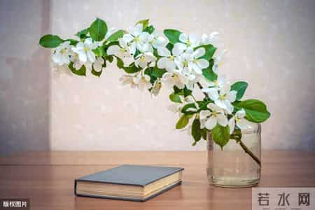 初一作文相识瞬间,初一作文相识瞬间怎么写