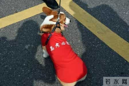 2019江苏高考作文题出炉！高考首日，镇江现场直击！