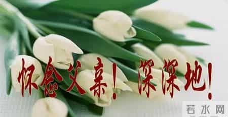 送给天堂父亲节的句子,没有父亲的父亲节，写给天堂父亲的一段话