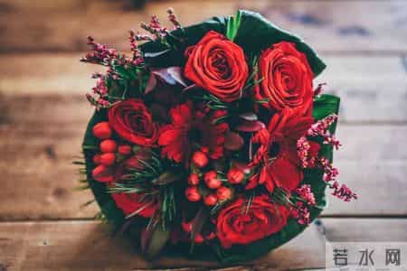 写给妈妈的一封信