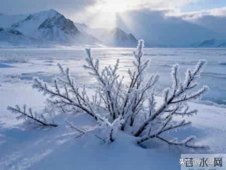 三九天：一路有爱有盼，冬寒安然向暖