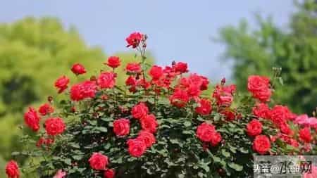 感恩2021展望2022,感恩2020展望2021文字