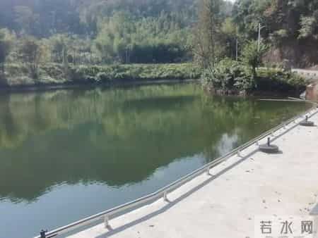 竹林深处是我家,竹林深处人家是谁写的