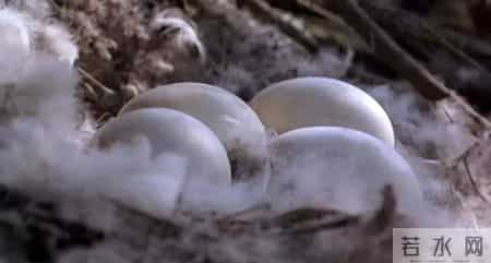 综合实践课,综合实践活动课程