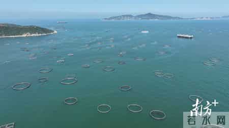 海洋魅力号,海洋魅力号是哪个国家的