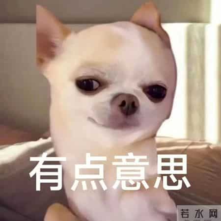 有点意思,表情包嗨 有点意思