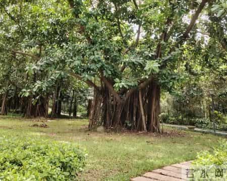 我的“三书”生活：读书、写书与讲书