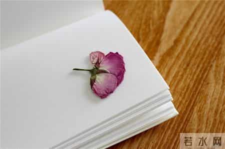 晨风吹阳光照,早上好！简单又随意的个性签名，句句真理，读一遍受益终身