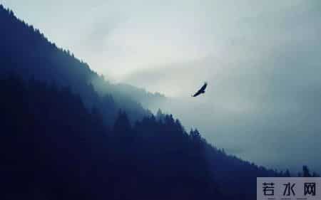 借物喻人的作文400