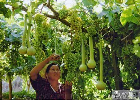 看！这幸福的百元大钞