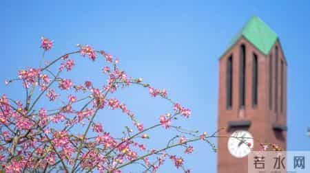 权威发布！华南理工大学2026年硕士研究生招生章程来了