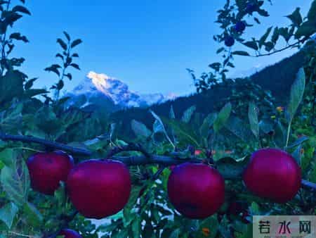 绝想日志,2月春节避世美食之旅：7处小众秘境，人少景美味更绝