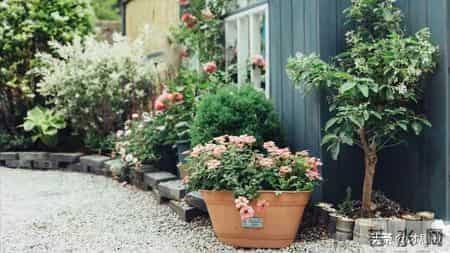 与迷茫和痛苦共舞,你真的懂得蜕变的意义吗？