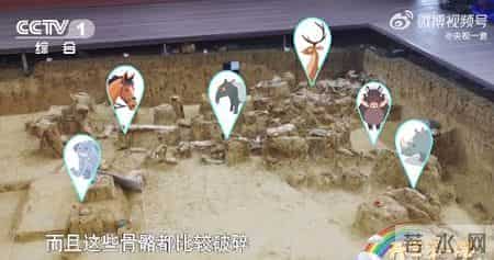 看完《开学第一课》，观后感怎么写？十大亮点带孩子重温（附回放入口）