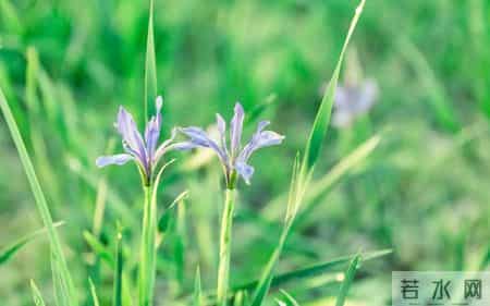 生日感谢词,用高情商的生日感谢语言，传递真挚的祝福