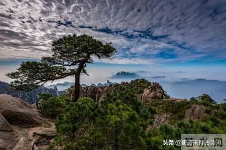 落落盘踞虽得地，冥冥孤高多烈风