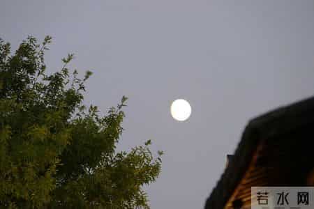 那年花开月正圆