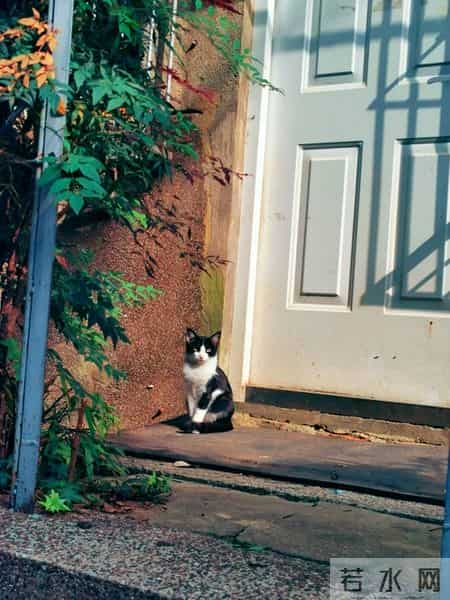 寂寞文章,张晓磊情感爆款文章-孤独穿越悲喜：寻找人生的真正意义