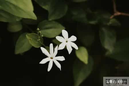 伴君入眠,史上最孤独的一首宋词，意境高远，影响世人900年