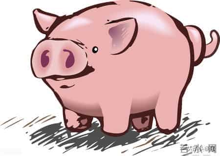 “pig”一词的相关表达