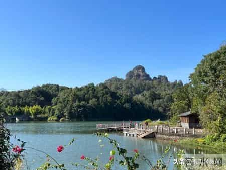 小学美术学科教资面试试讲习题与参考教案