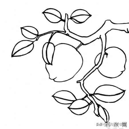 一棵小桃树,一棵小桃树的作者